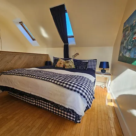 Cozy Cloghane 特拉利