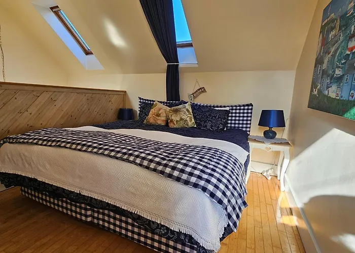 Cozy Cloghane 特拉利